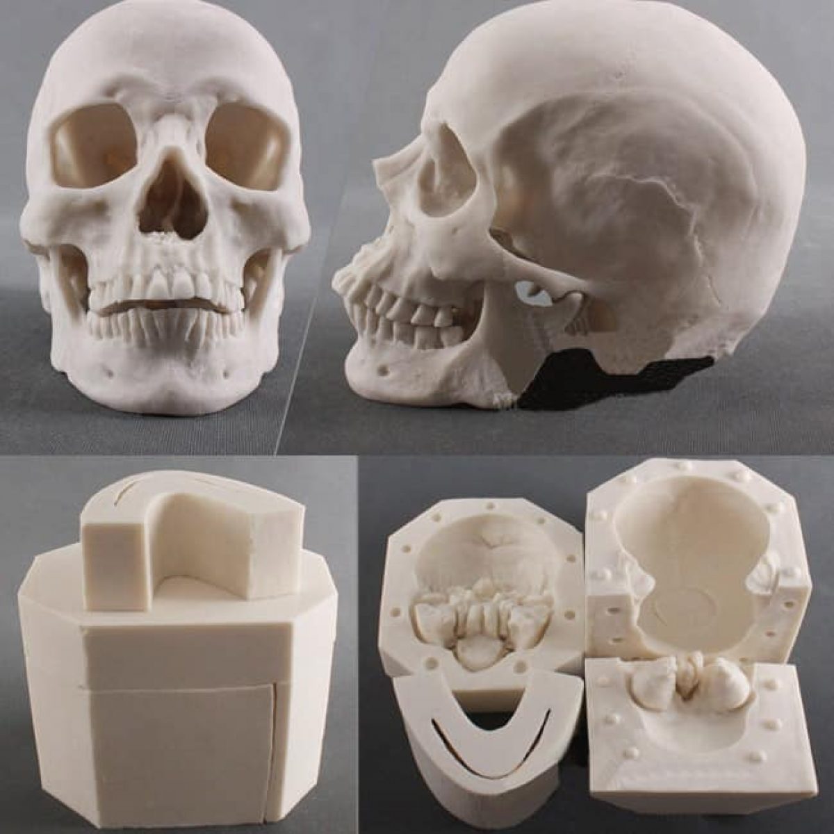 https://lcmolds.com/wp-content/uploads/2022/03/3D-Silicone-Skull-Molds-Actual-Size-1-1200x1200.jpg
