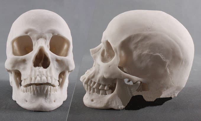 3D Silicone Skull Statue Molds -5