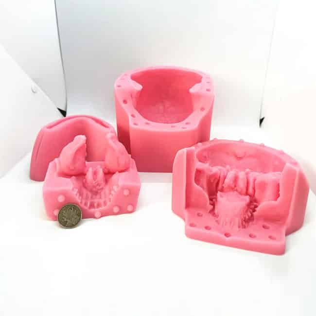 3D Silicone Skull Statue Molds Actual Size - 4