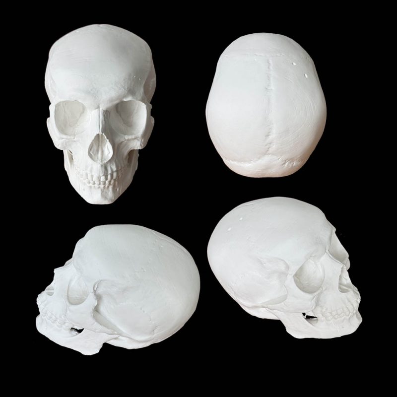 LCMOLDS Large Silicone Skull Molds for concrete Life Size-3