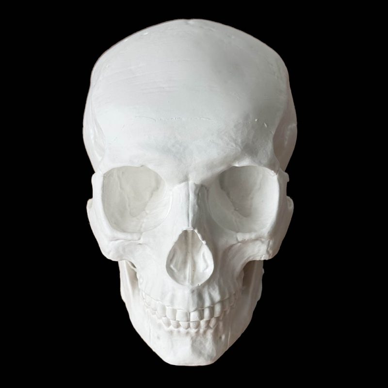 LCMOLDS Large Silicone Skull Molds for concrete Life Size-4