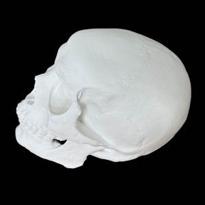 LCMOLDS Large Silicone Skull Molds for concrete Life Size-5