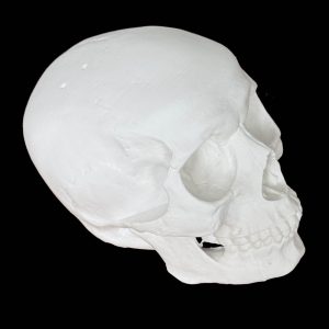 LCMOLDS Large Silicone Skull Molds for concrete Life Size-6