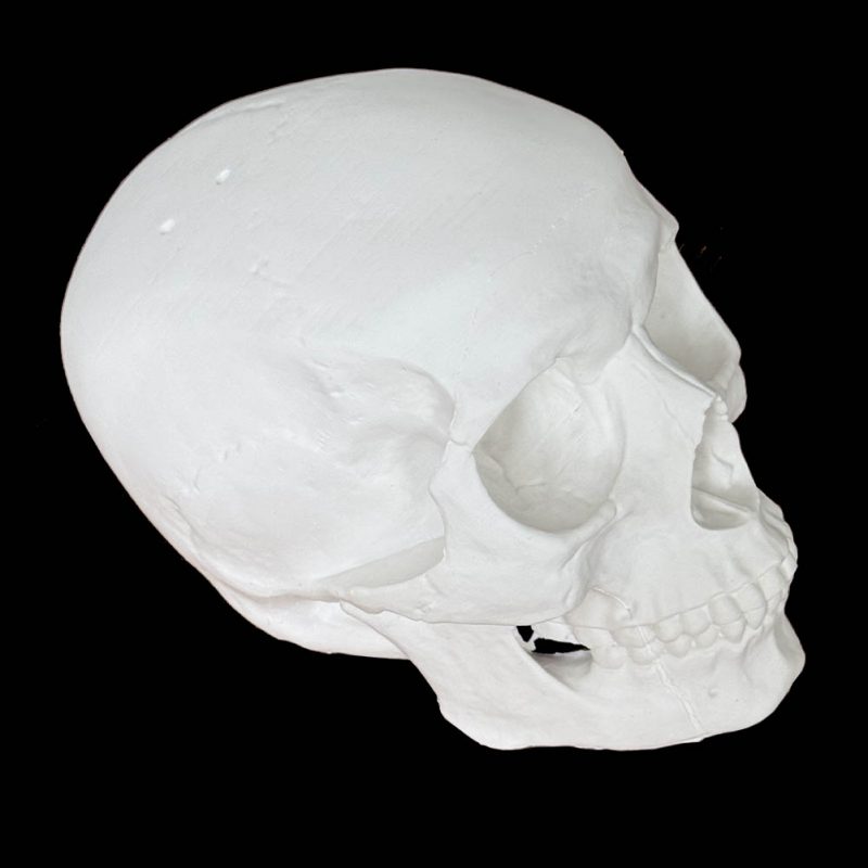 LCMOLDS Large Silicone Skull Molds for concrete Life Size-6