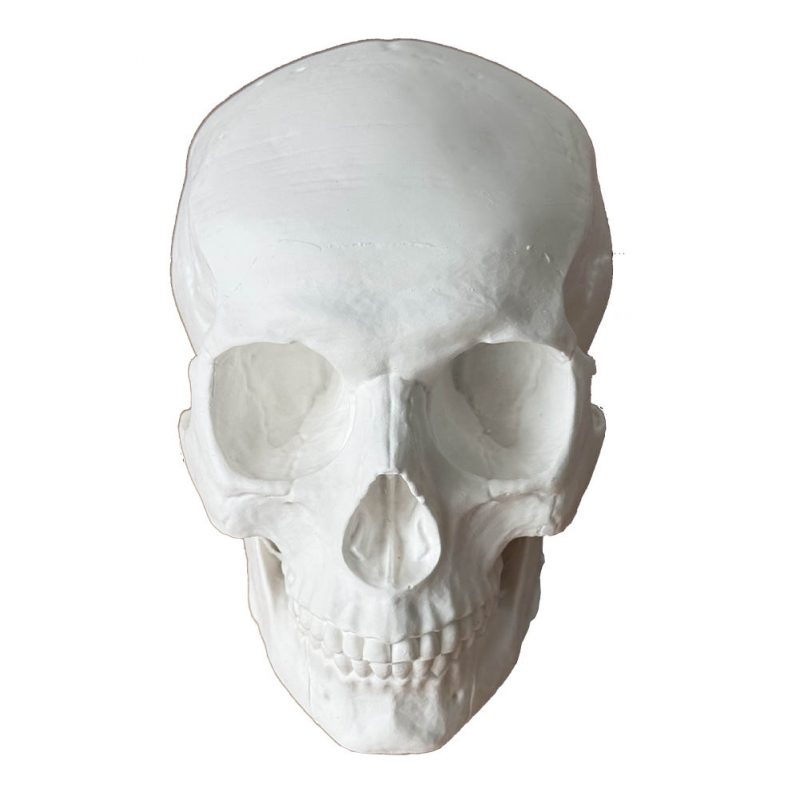 LCMOLDS Large Silicone Skull Molds for concrete Life Size-8