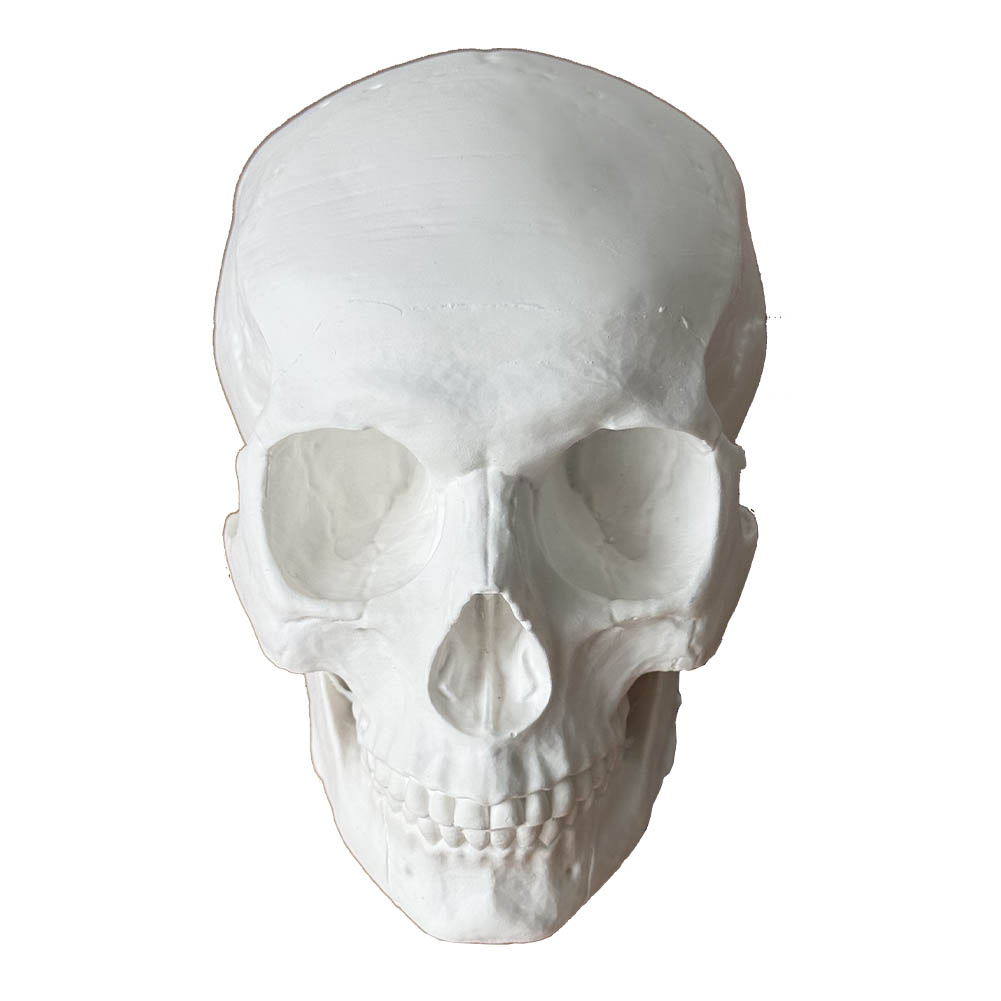LCMOLDS Large Silicone Skull Molds for concrete Life Size-8