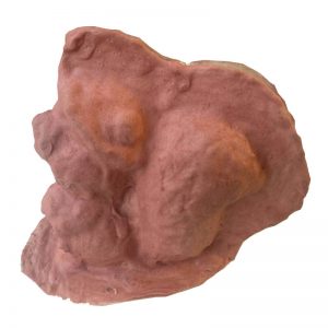 Latex Squirrel Animal Concrete Statue Molds - 1