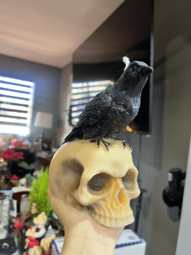 crow on skull silicone mold